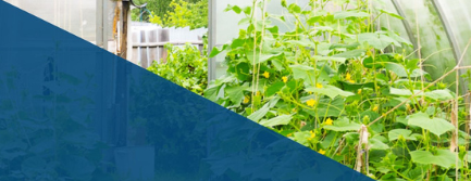 Greenhouse Days 2025: A Day of Creativity, Courage, and Kingdom Dreaming